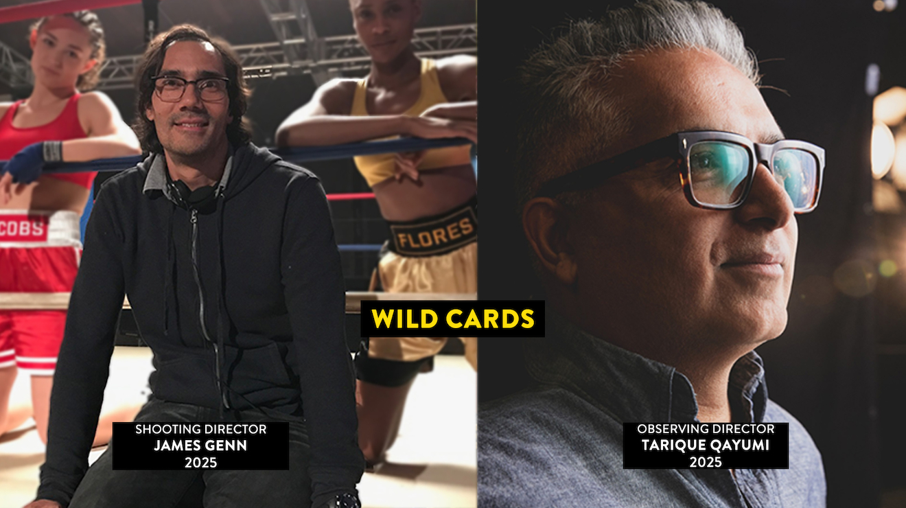 Tarique Qayumi Director