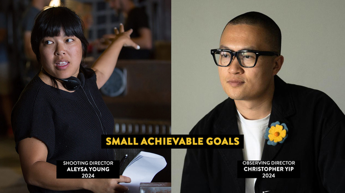 Director Observer Program